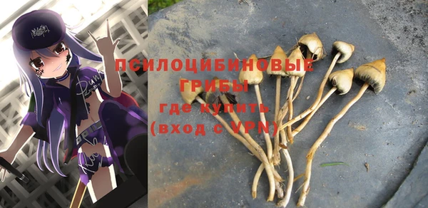 спиды Алзамай