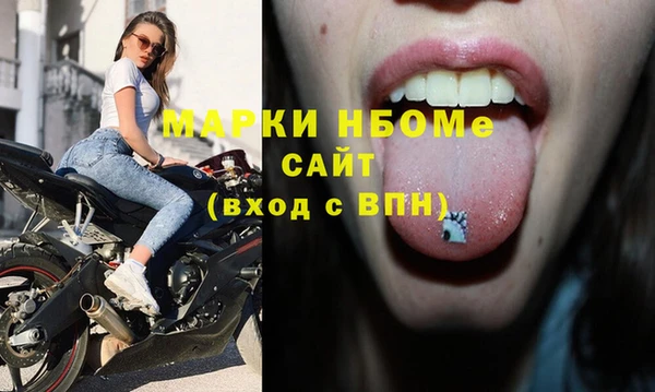 стафф Михайлов